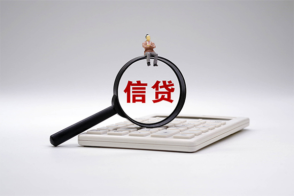 西安27大额短借